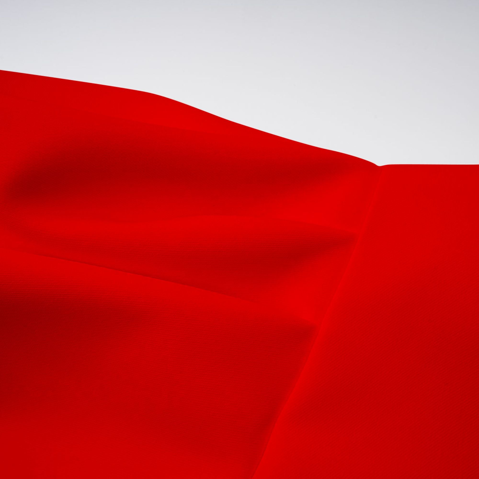 Irène Red Sequined Floral Embroidered Midi Dress