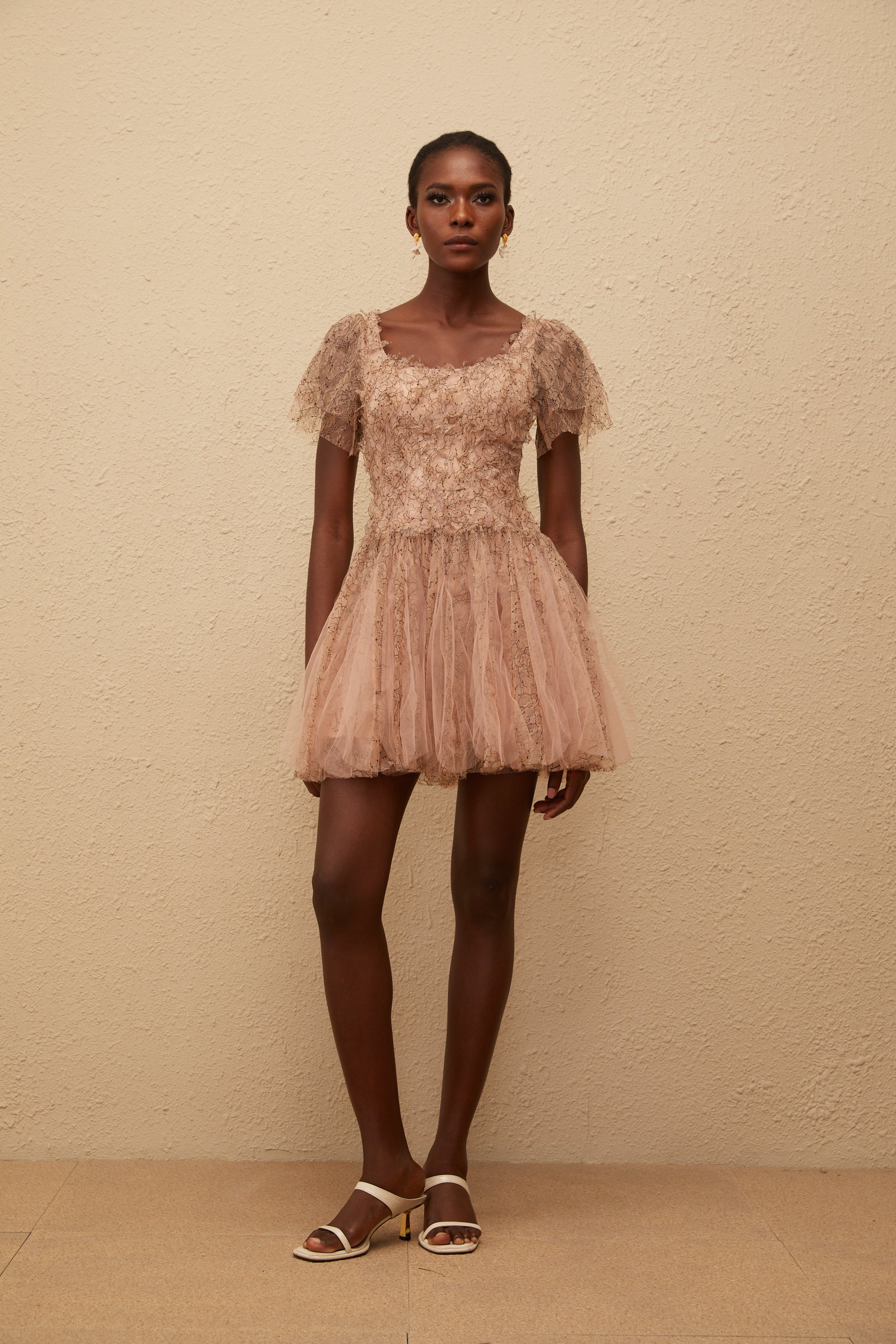 Gaëtane Brown Tulle Panel Lace Mini Dress (Final Sale)