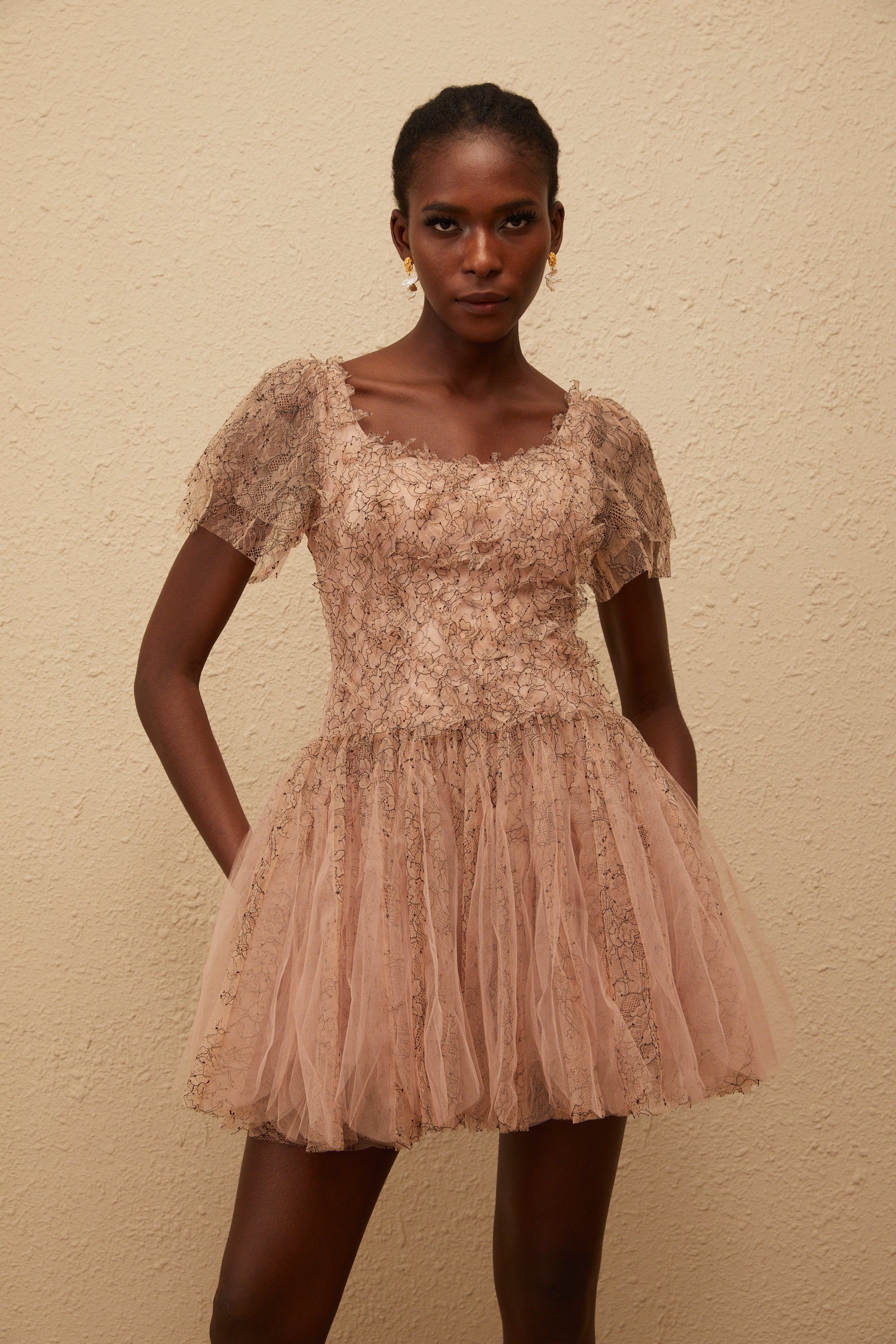 Gaëtane Brown Tulle Panel Lace Mini Dress (Final Sale)