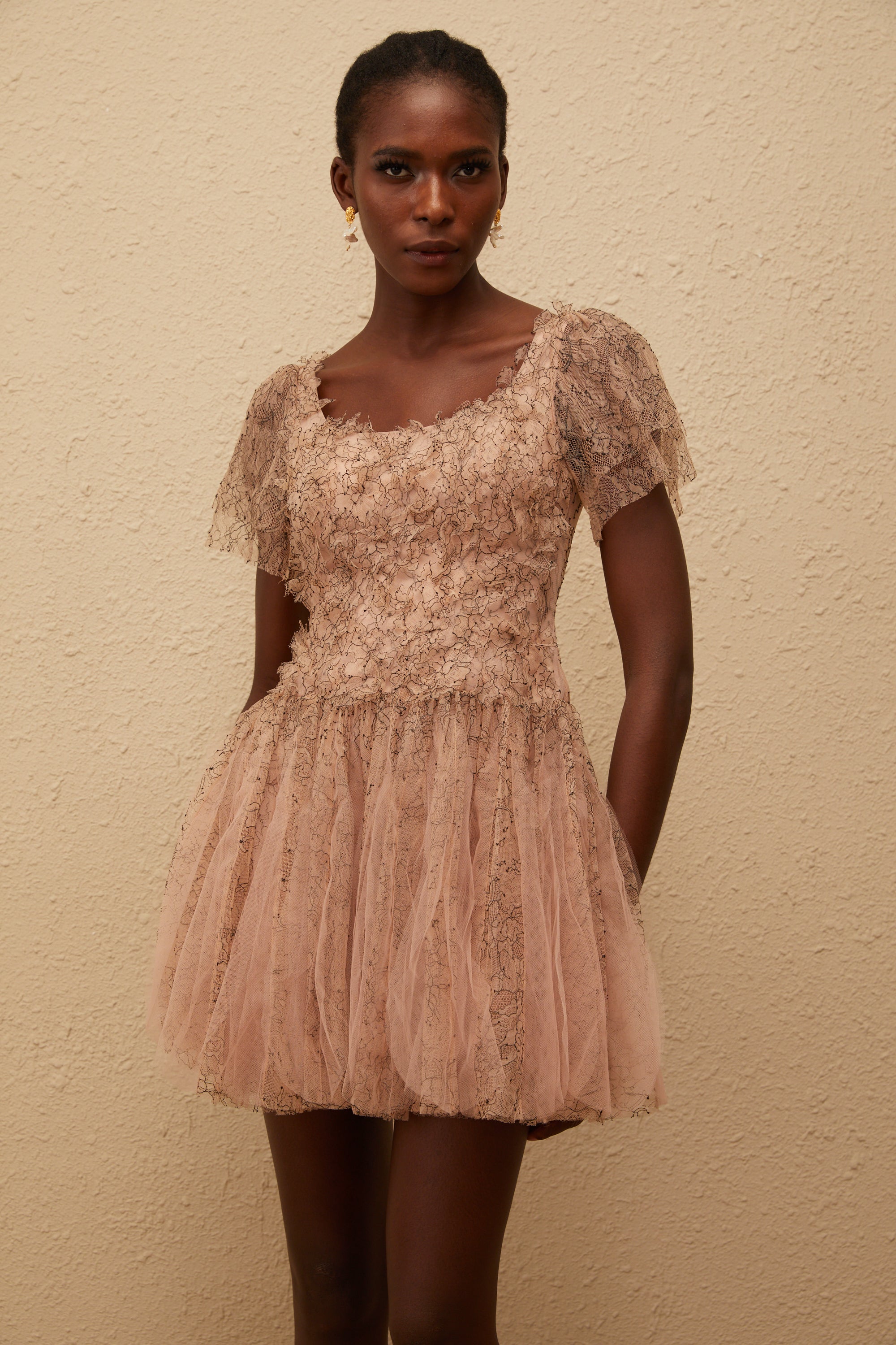 Gaëtane Brown Tulle Panel Lace Mini Dress (Final Sale)