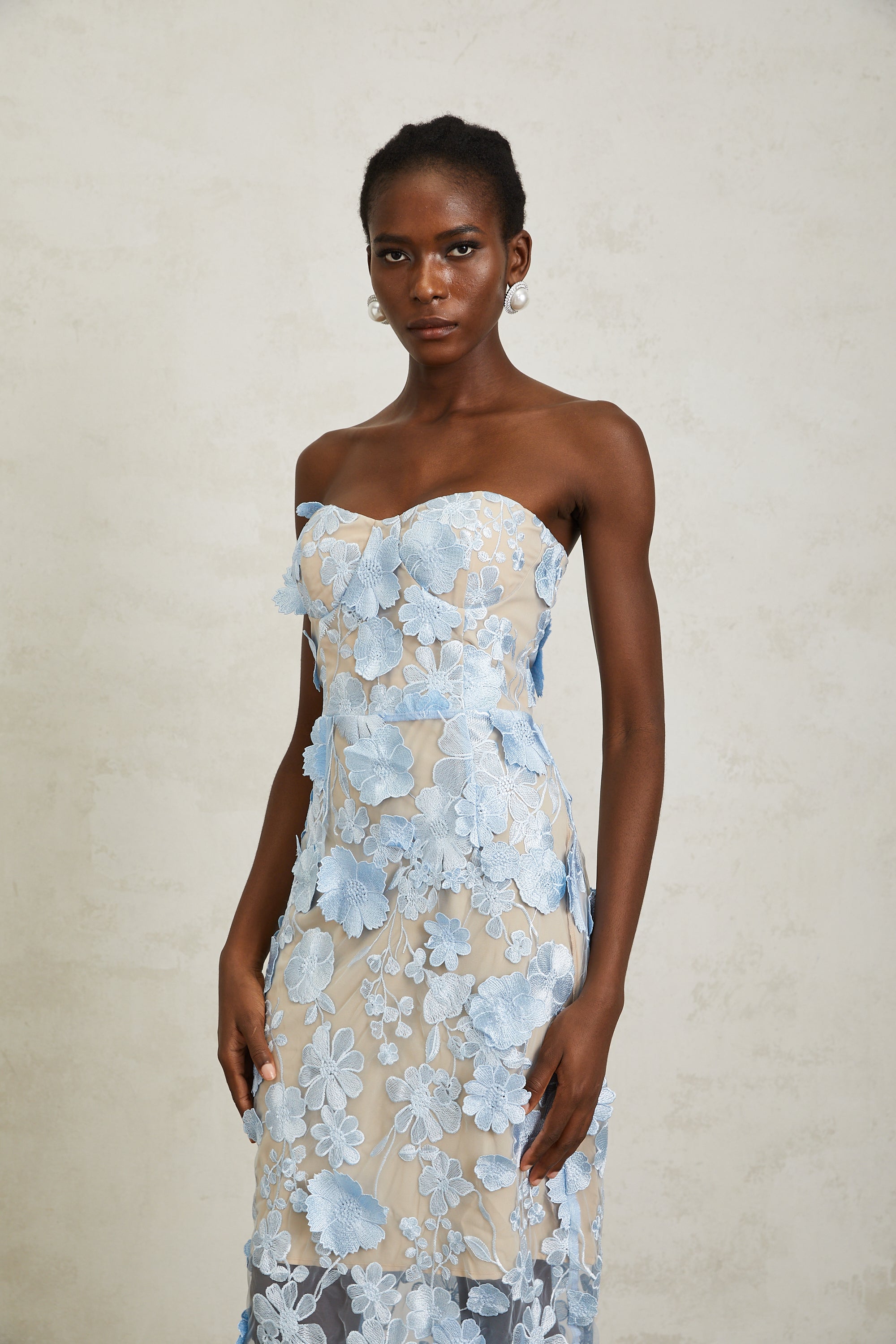 Brigitte Blue Floral Appliqué Corset Maxi Dress