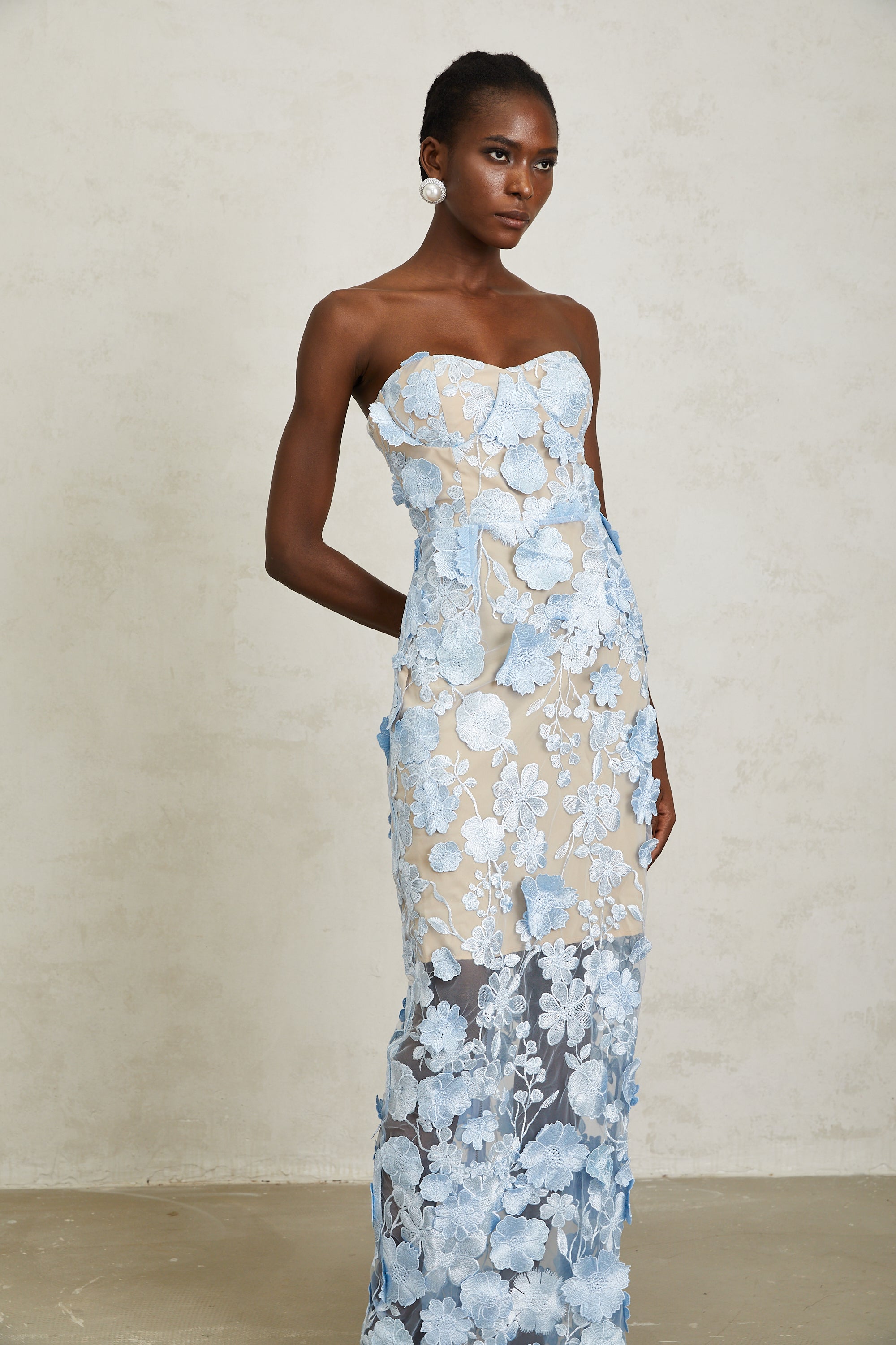 Brigitte Blue Floral Appliqué Corset Maxi Dress
