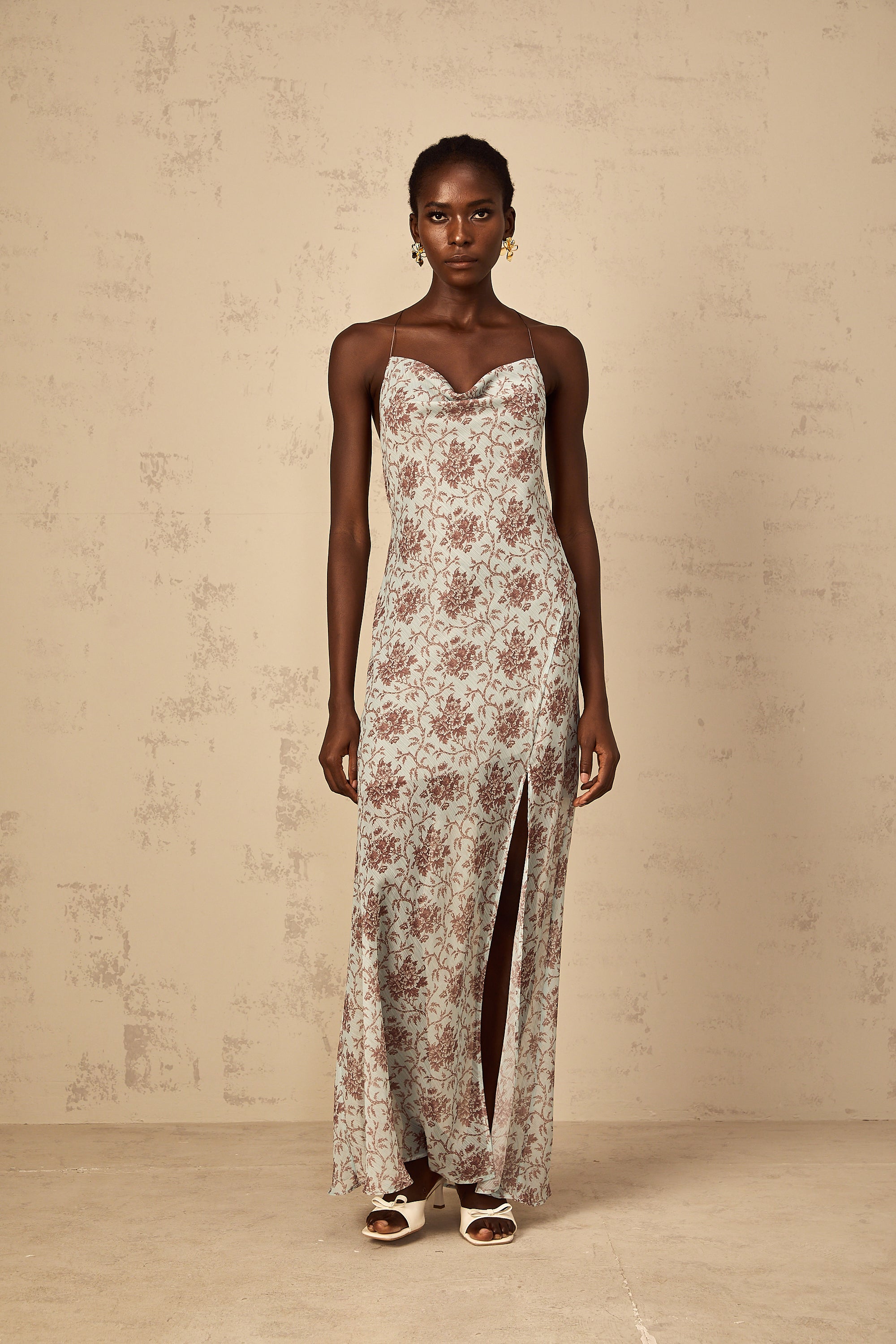 Honorine Blue Sleeveless Floral Print Maxi Dress