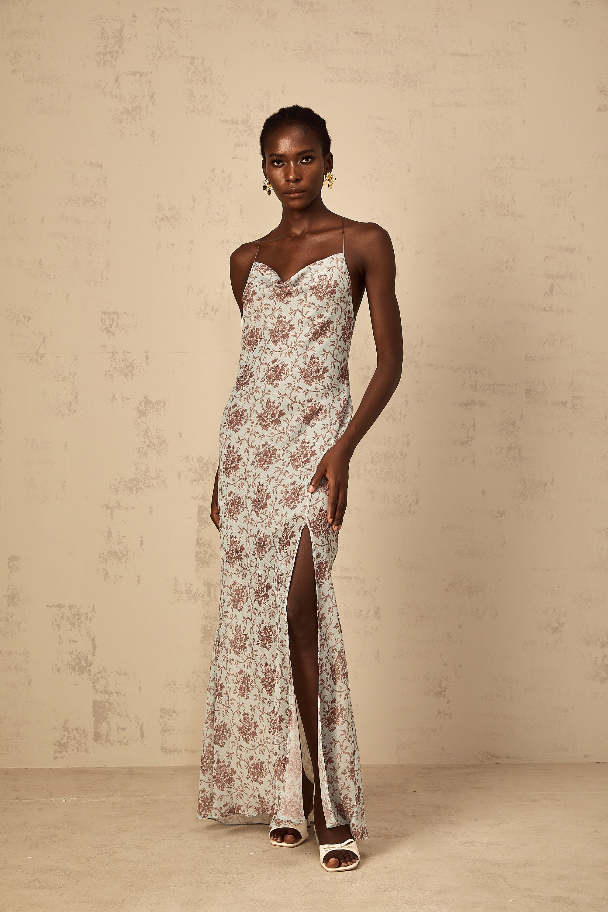 Honorine Blue Sleeveless Floral Print Maxi Dress