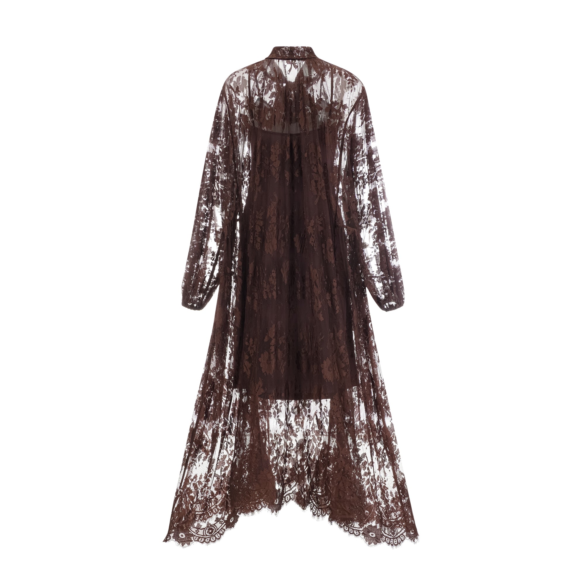 Sylvie brown chantilly-lace flared midi dress