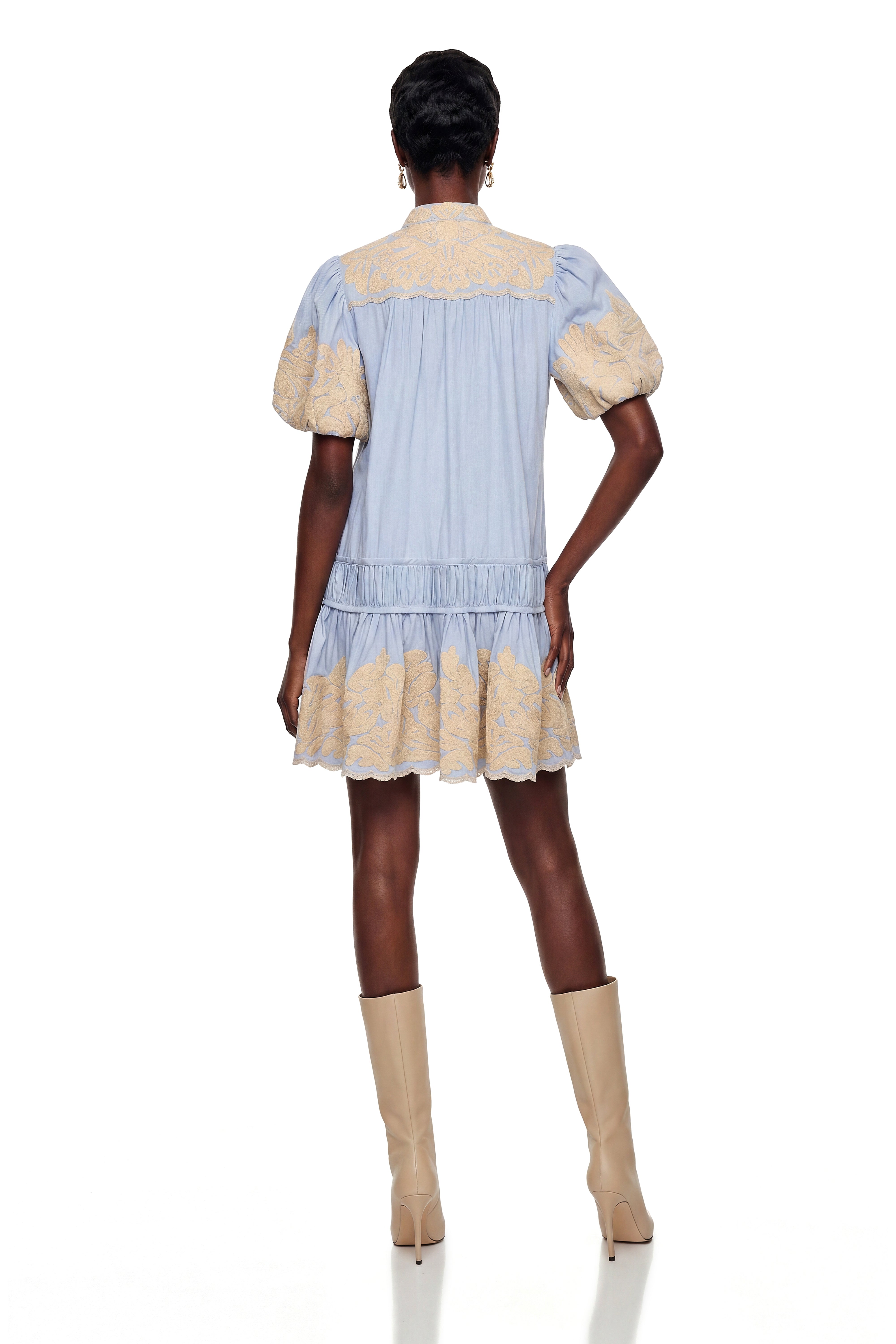Octavia Blue Embroidered Mini Dress