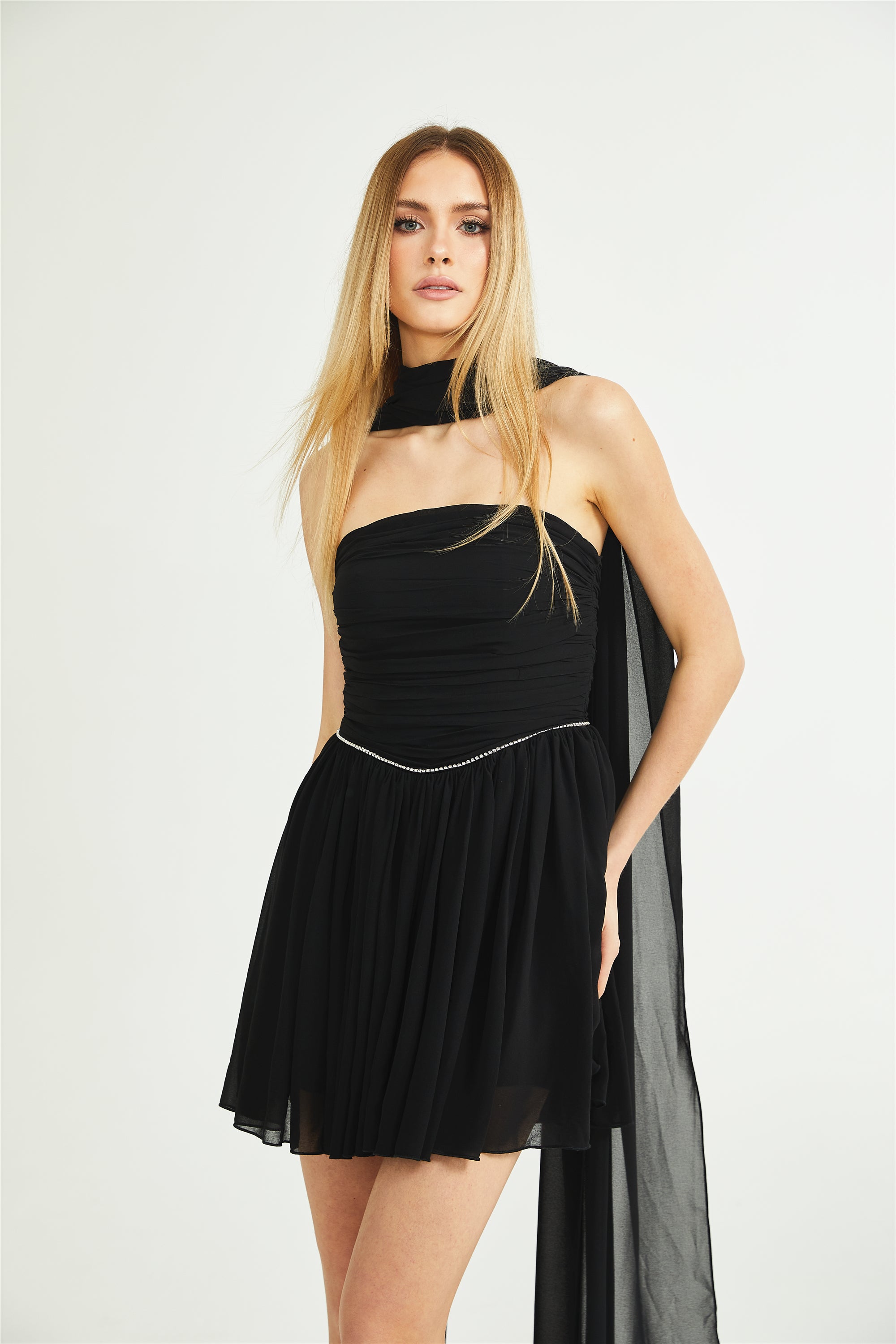 Nadine embellished pleated dress