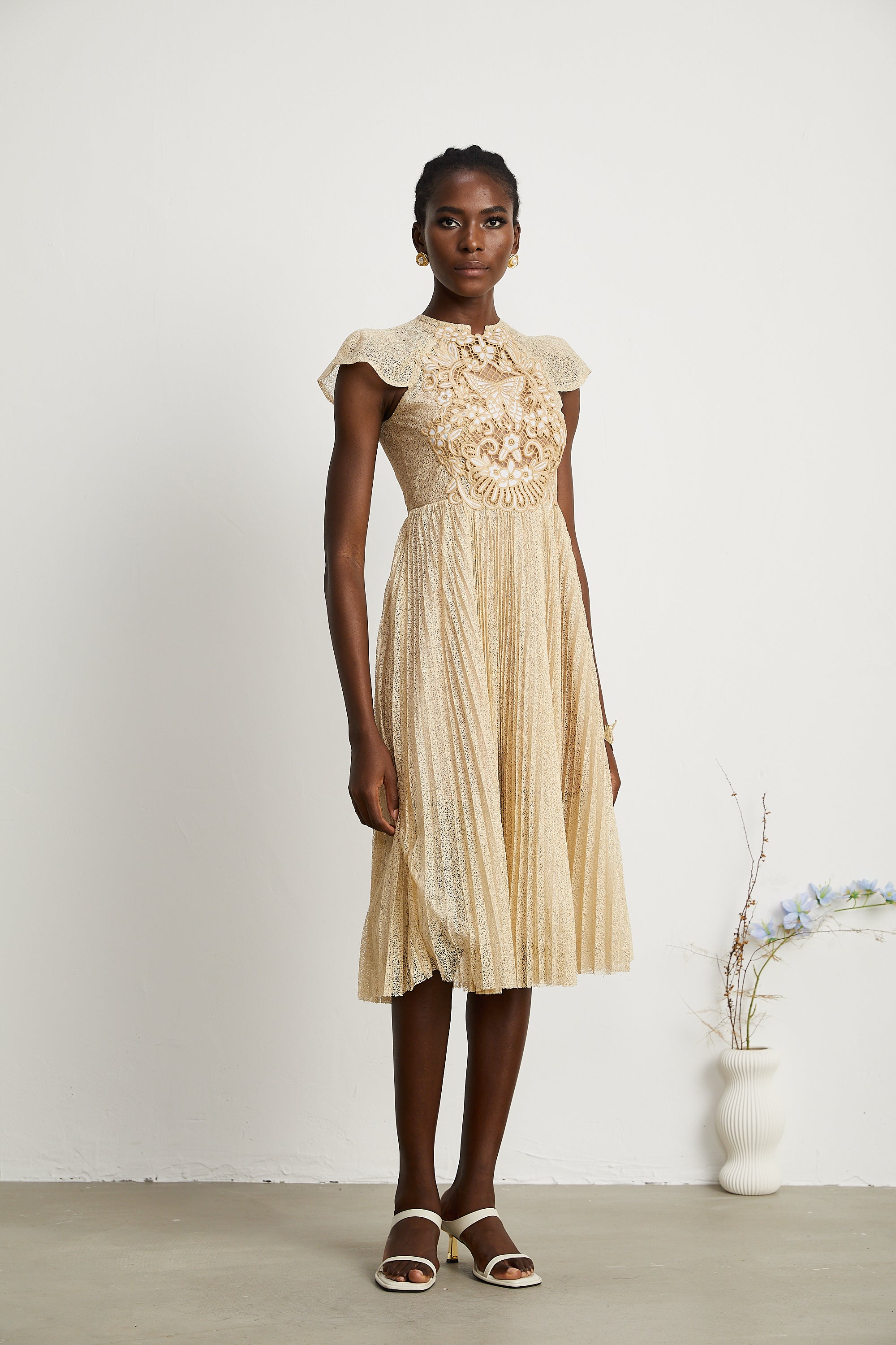 Nerissa embroidered pleated midi dress