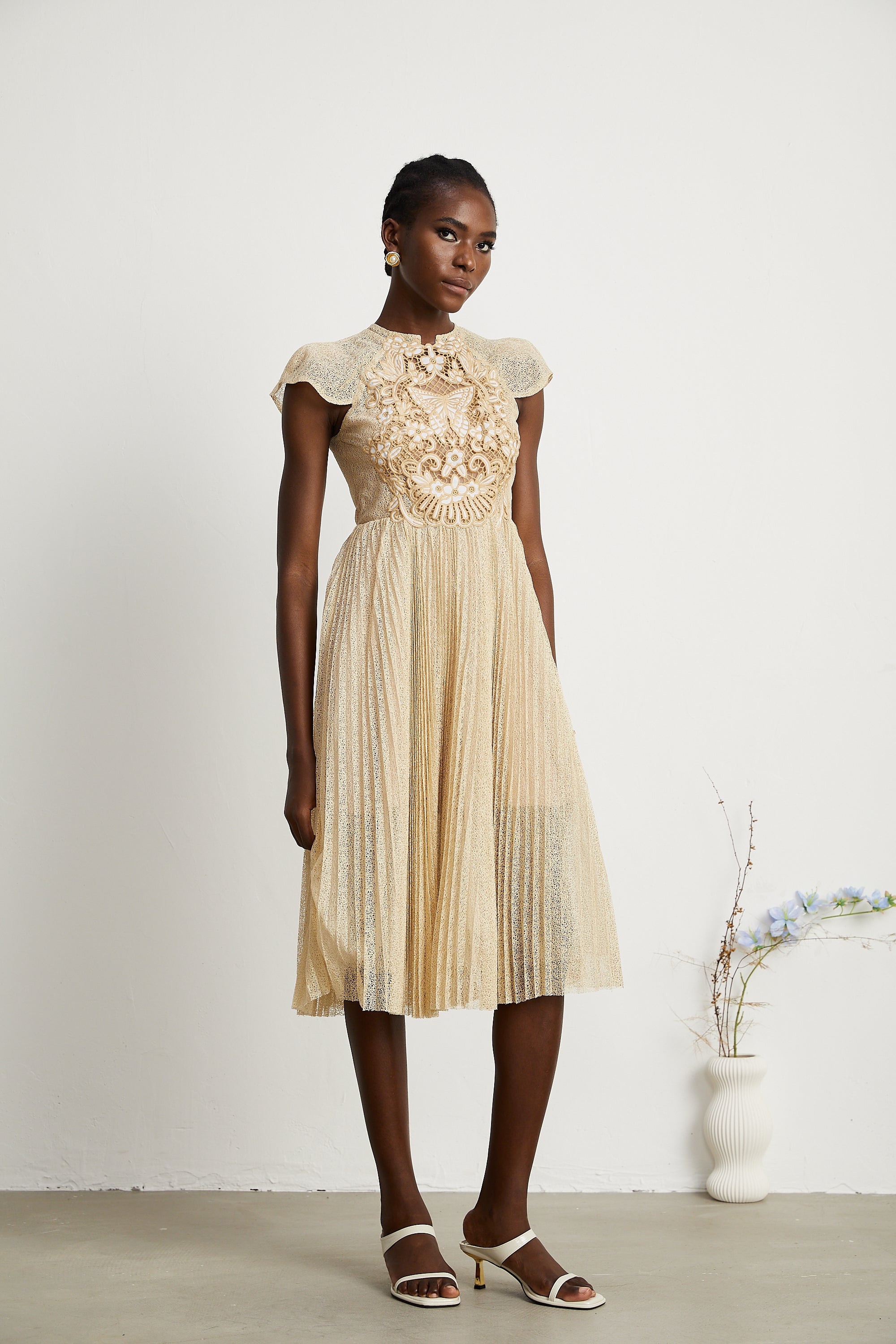 Nerissa embroidered pleated midi dress