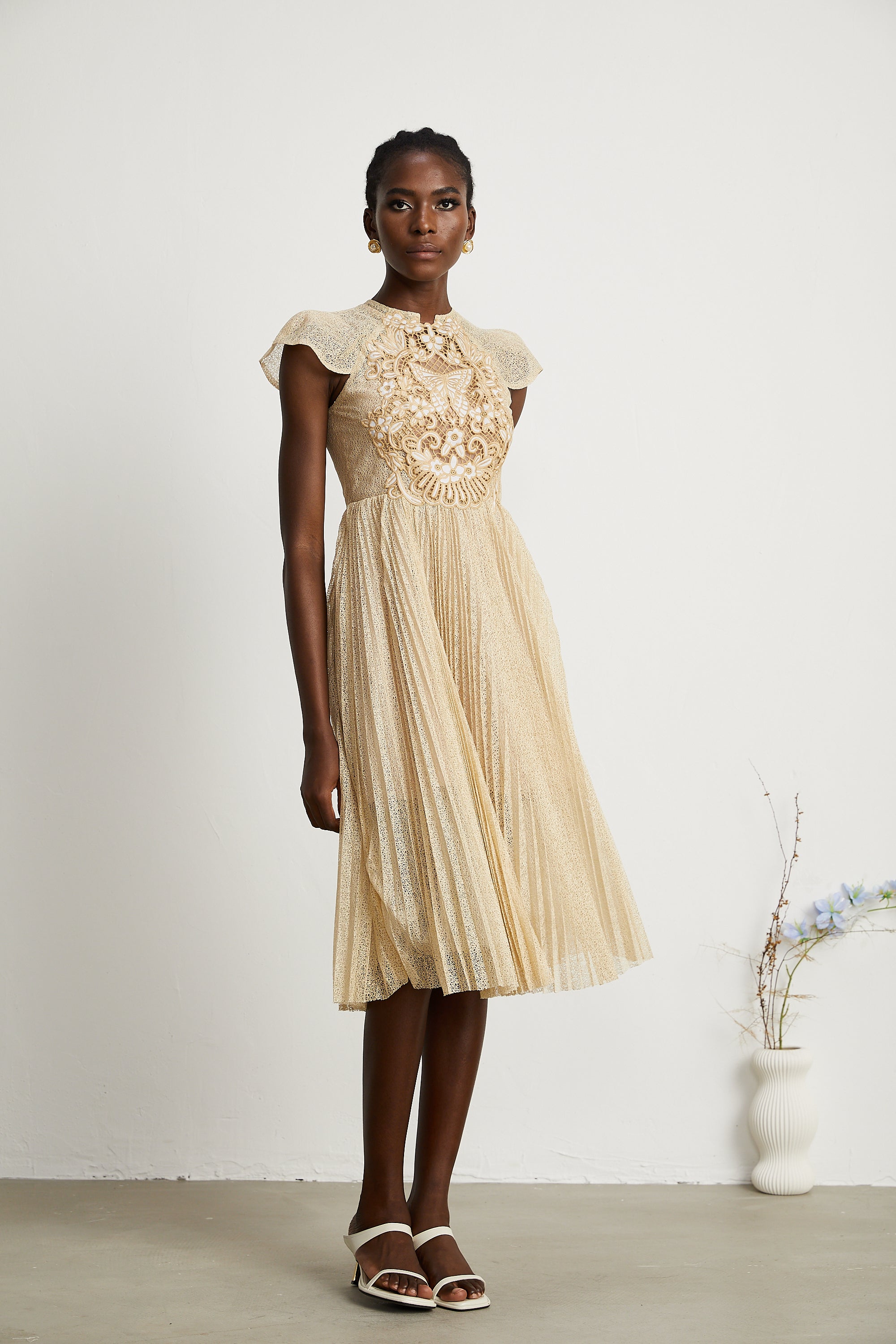 Nerissa embroidered pleated midi dress