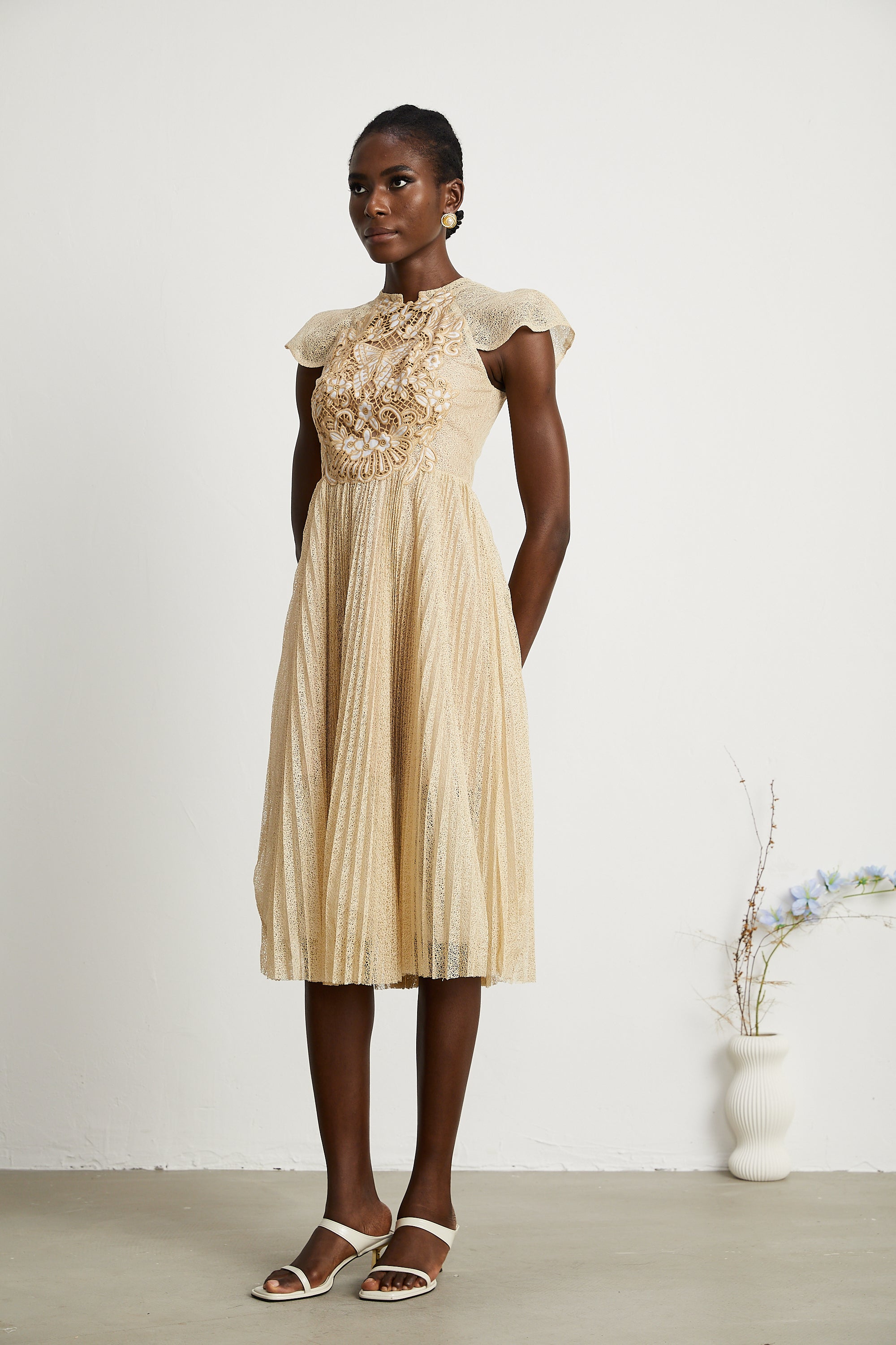 Nerissa embroidered pleated midi dress