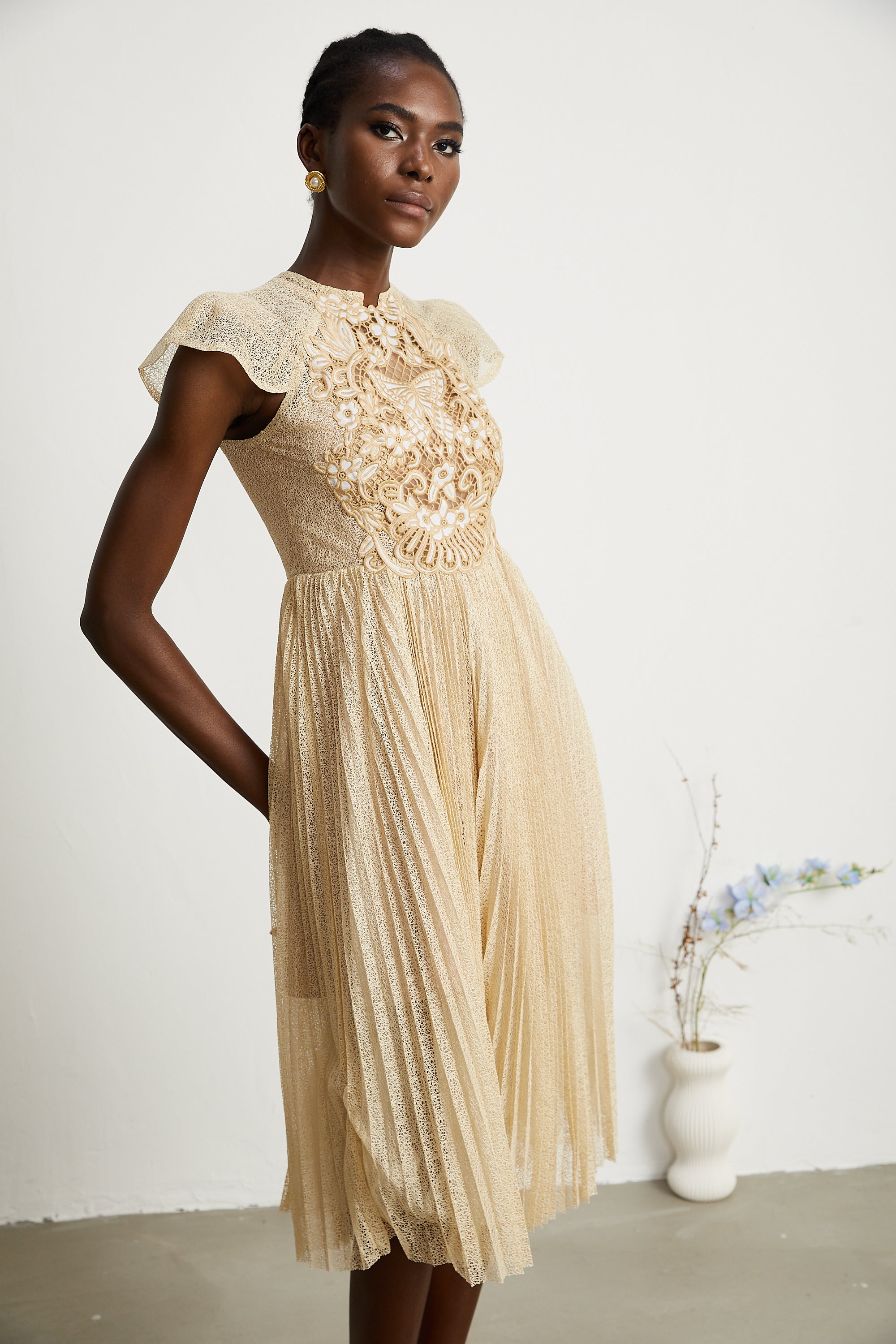 Nerissa embroidered pleated midi dress