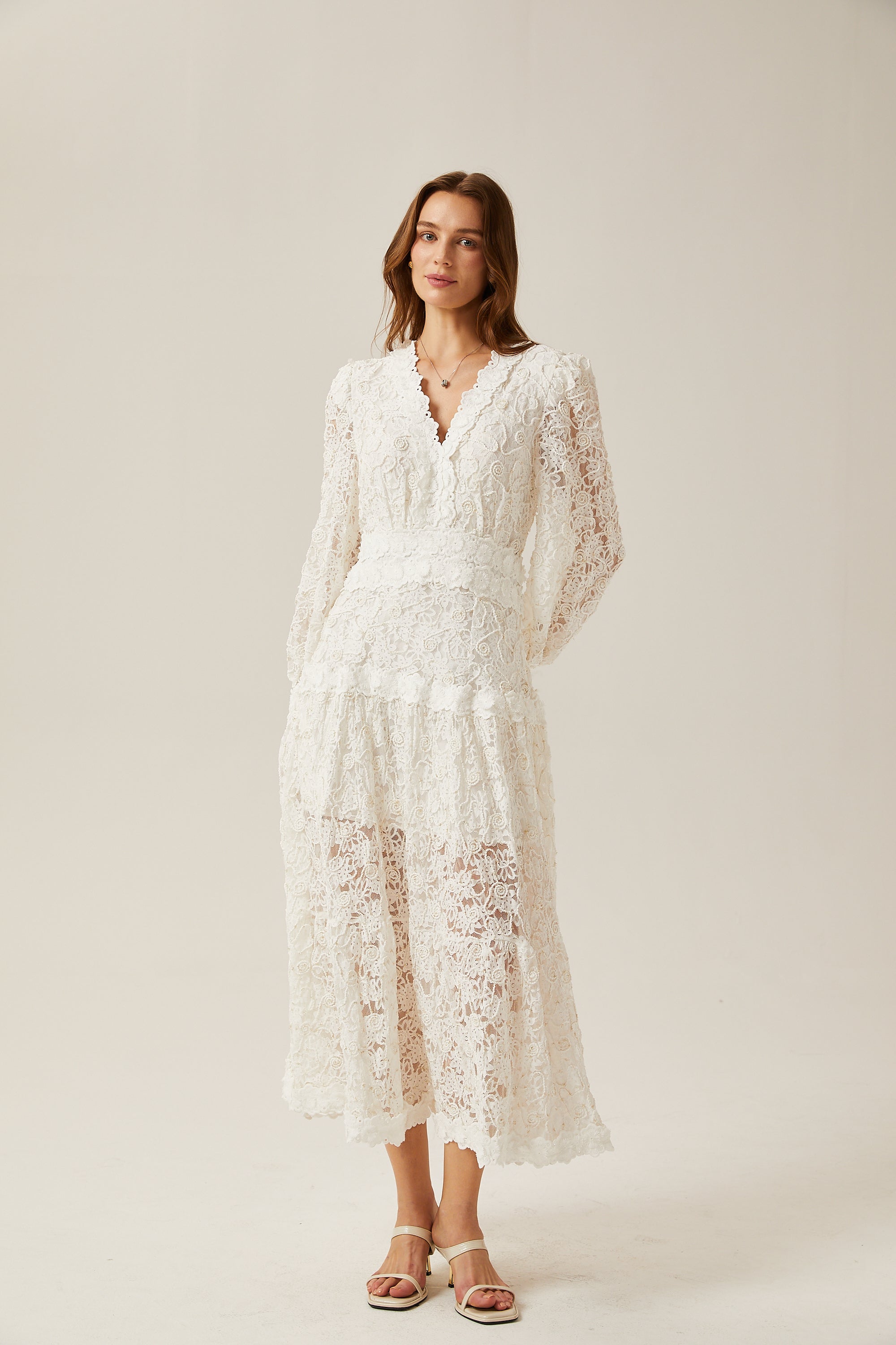 Sophie lace semi-sheer embroidered midi dress