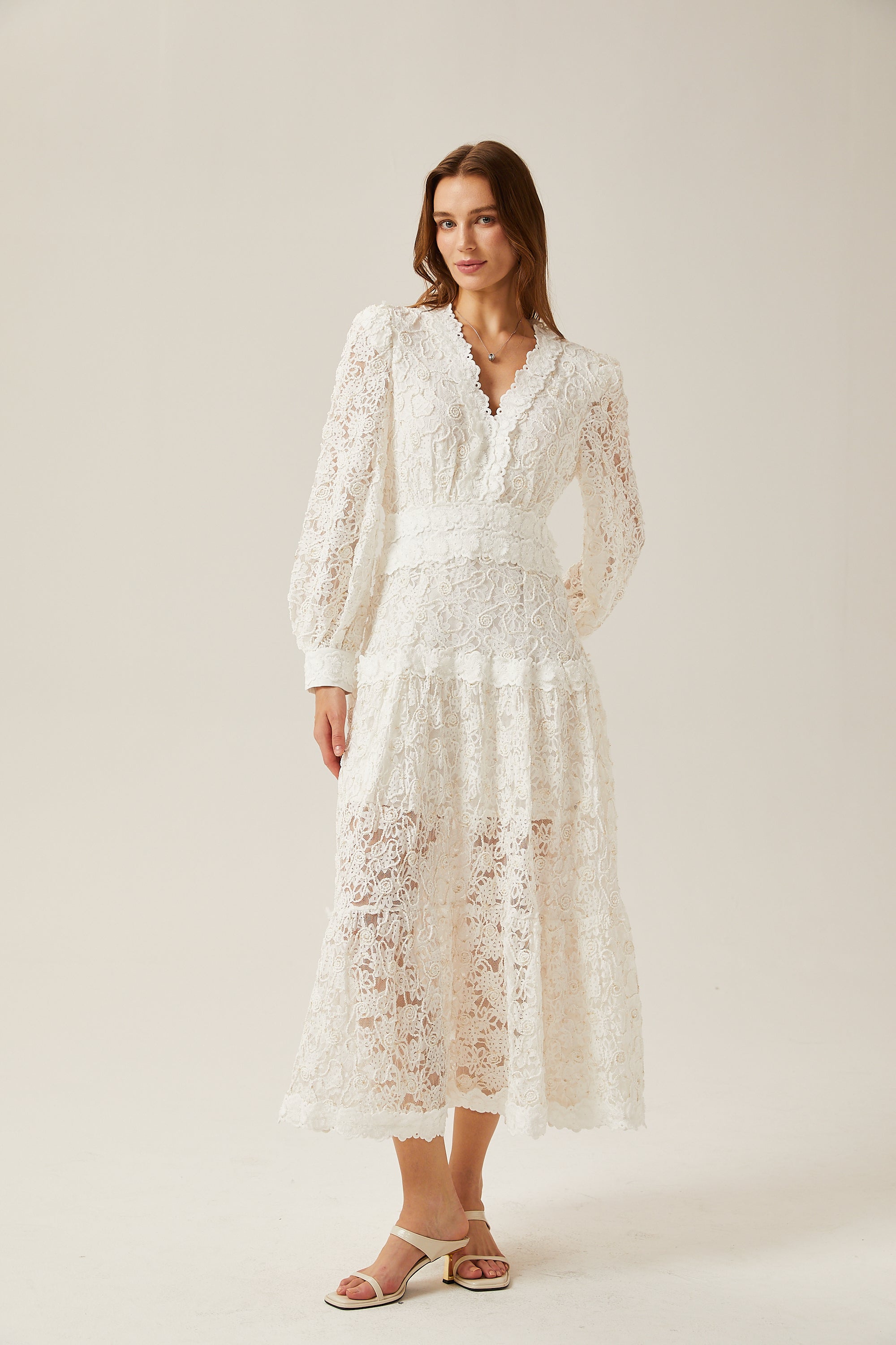 Sophie lace semi-sheer embroidered midi dress