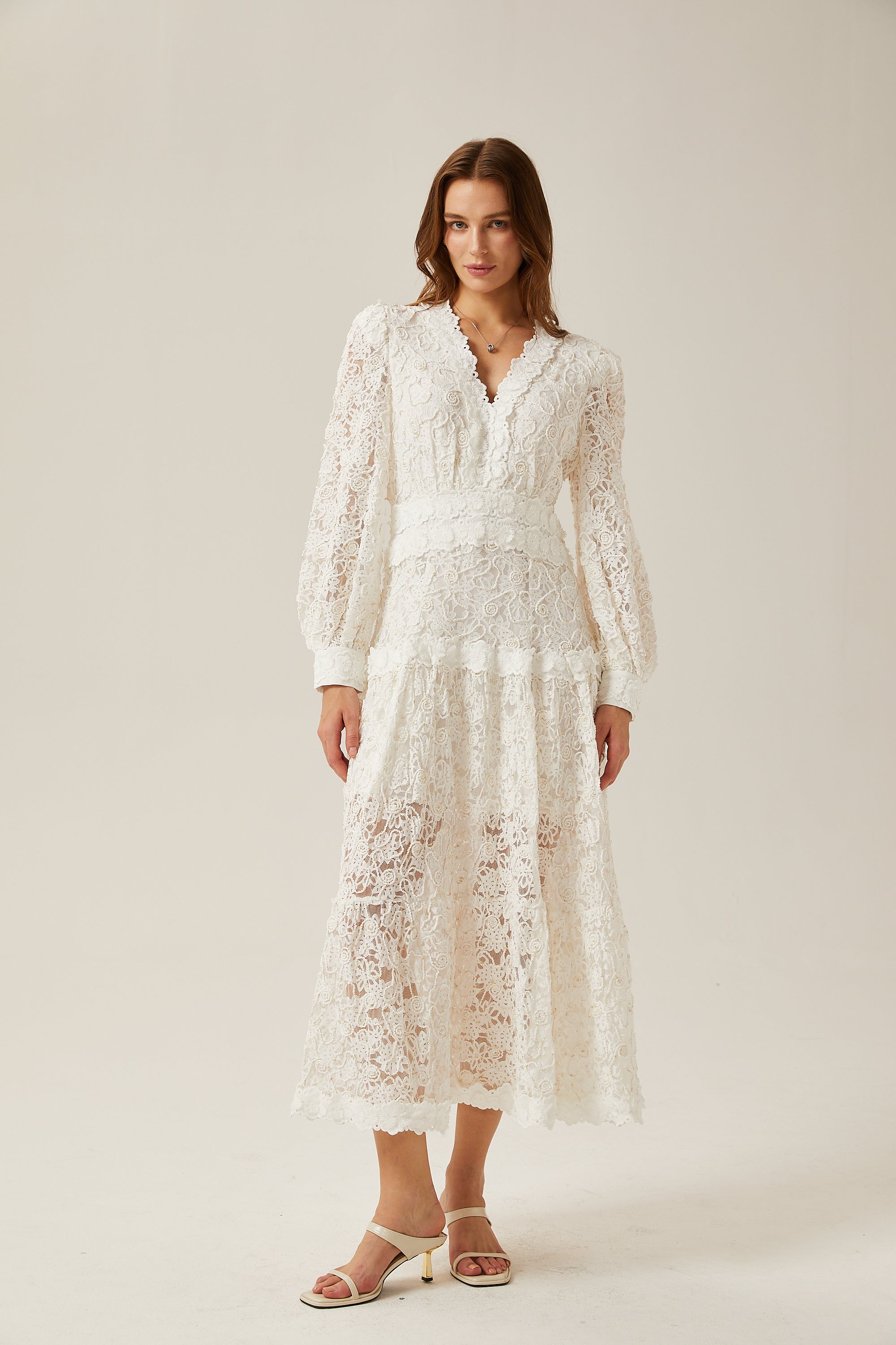 Sophie lace semi-sheer embroidered midi dress