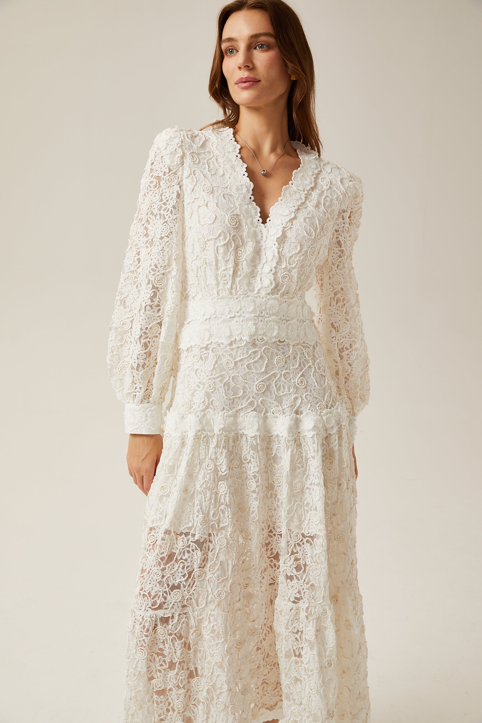 Sophie lace semi-sheer embroidered midi dress