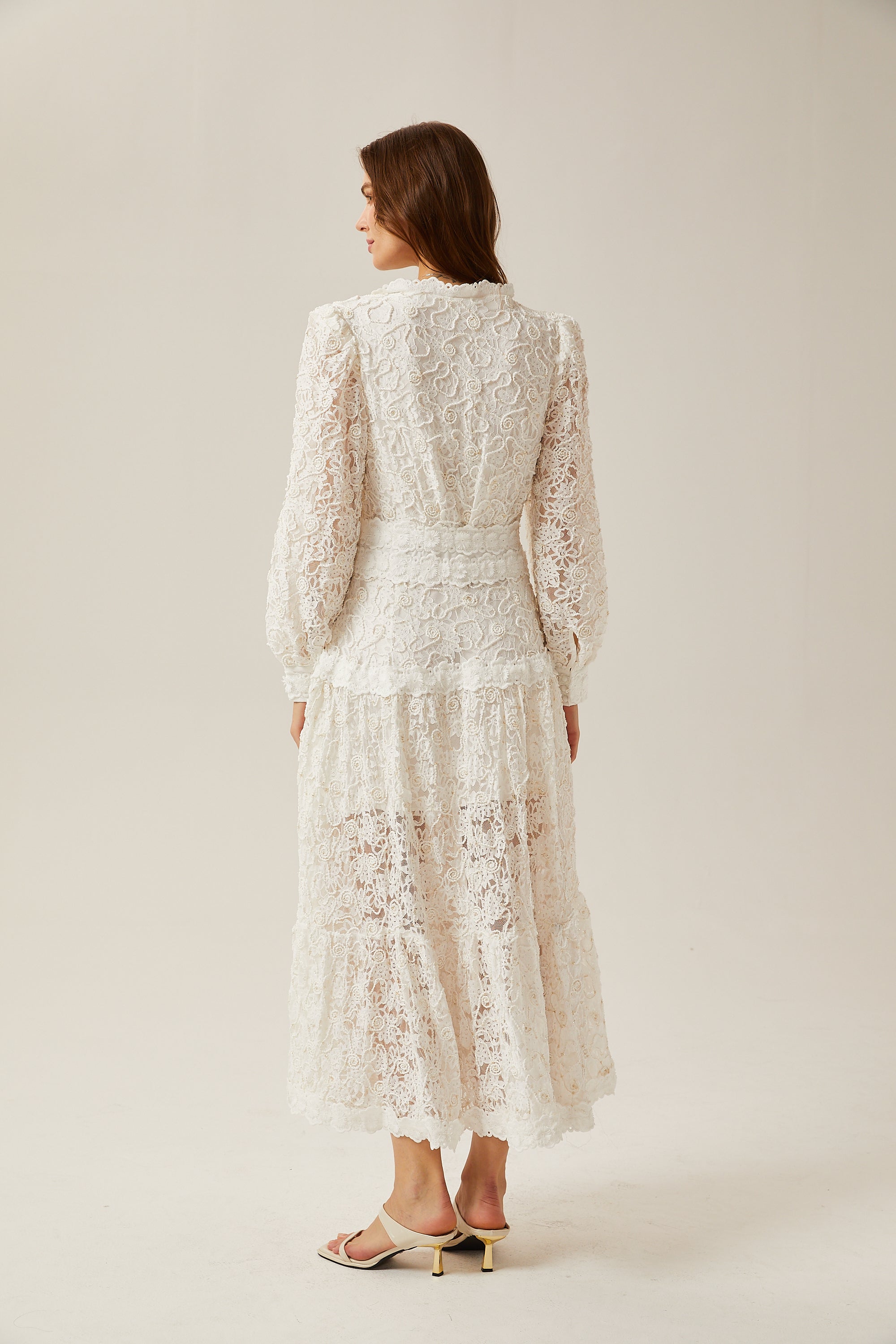 Sophie lace semi-sheer embroidered midi dress