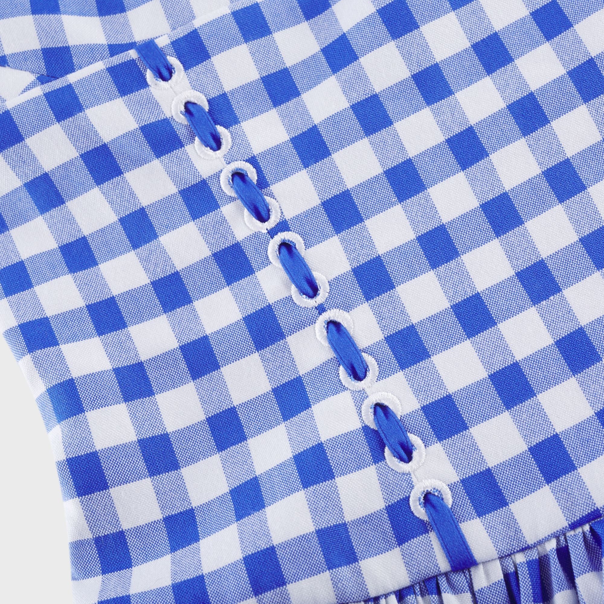 Diane gingham midi dress