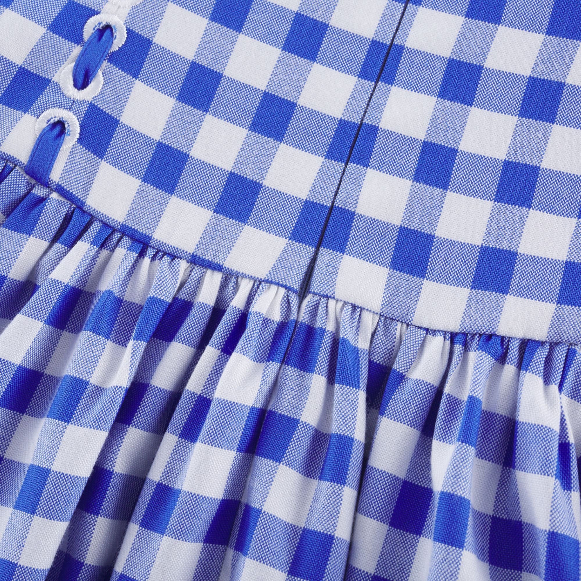 Diane gingham midi dress