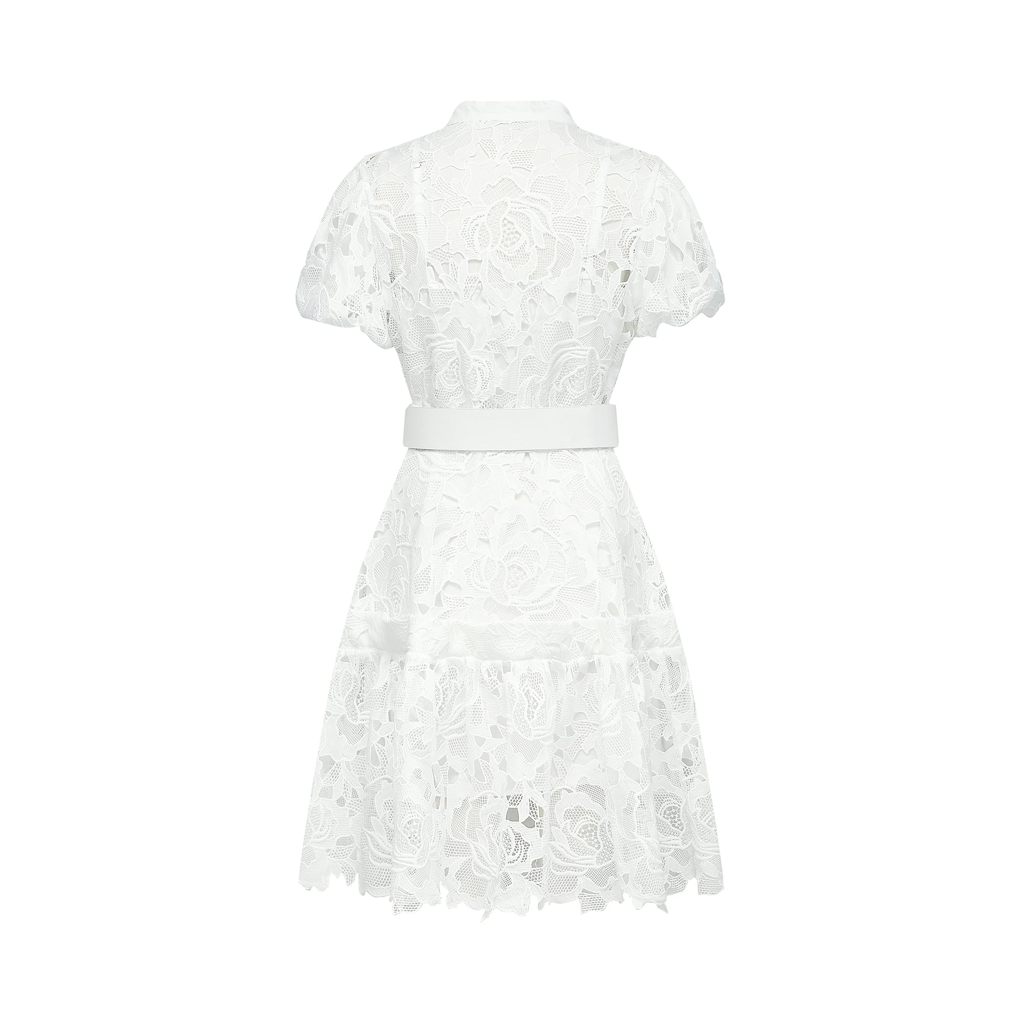 Camille lace-embroidered mini dress