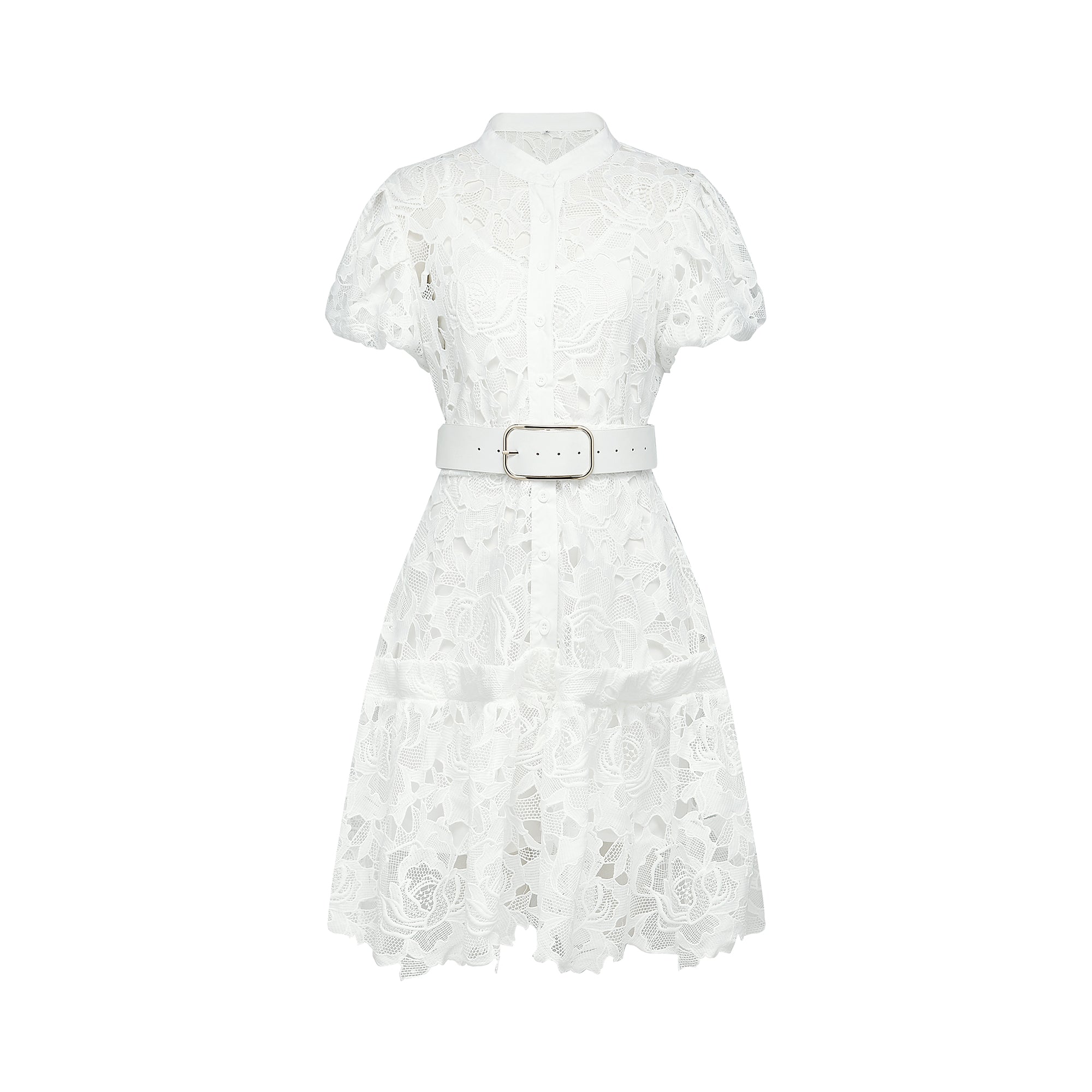 Camille lace-embroidered mini dress