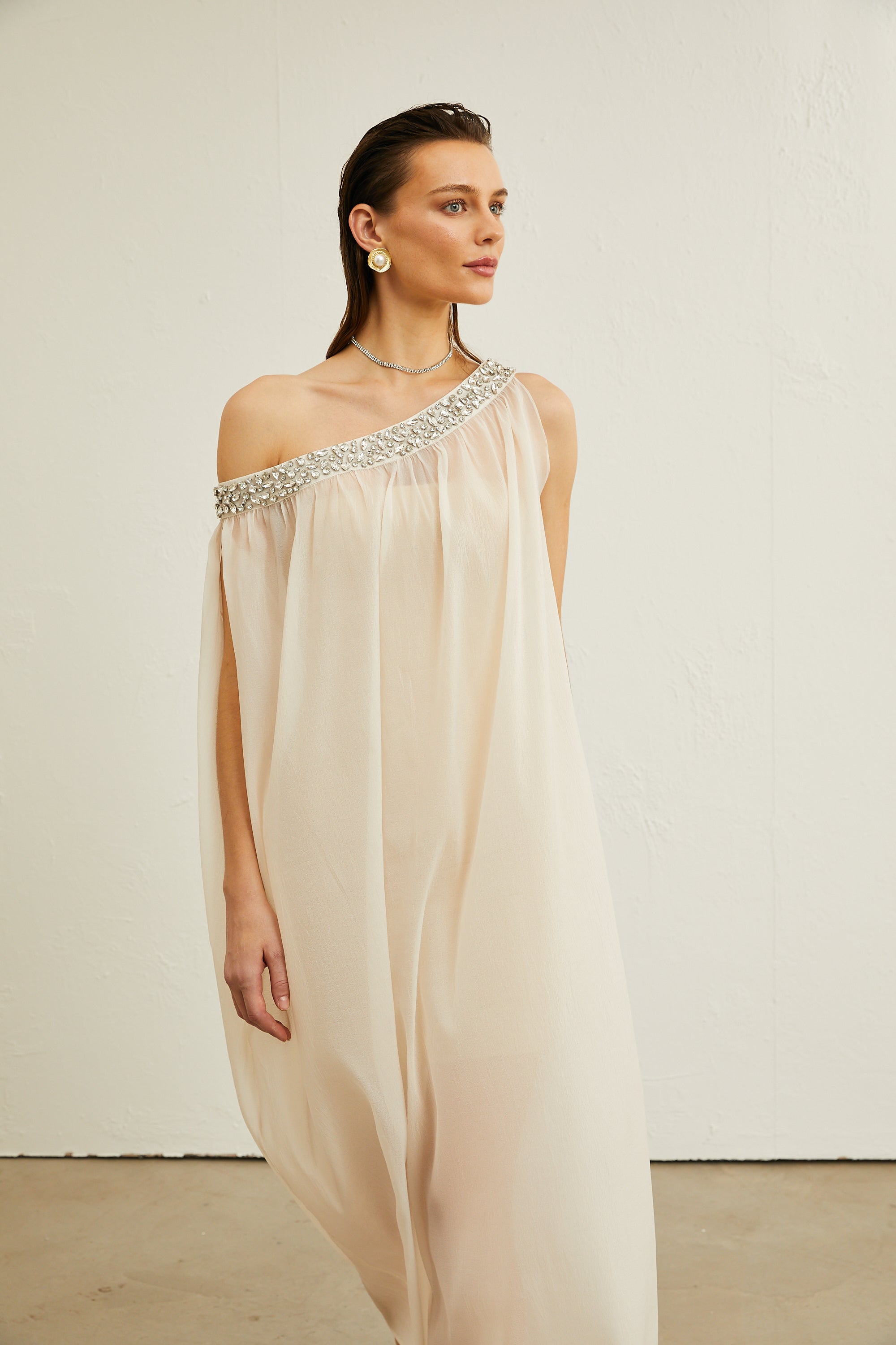 Austen crystal-embellished semi-sheer midi dress