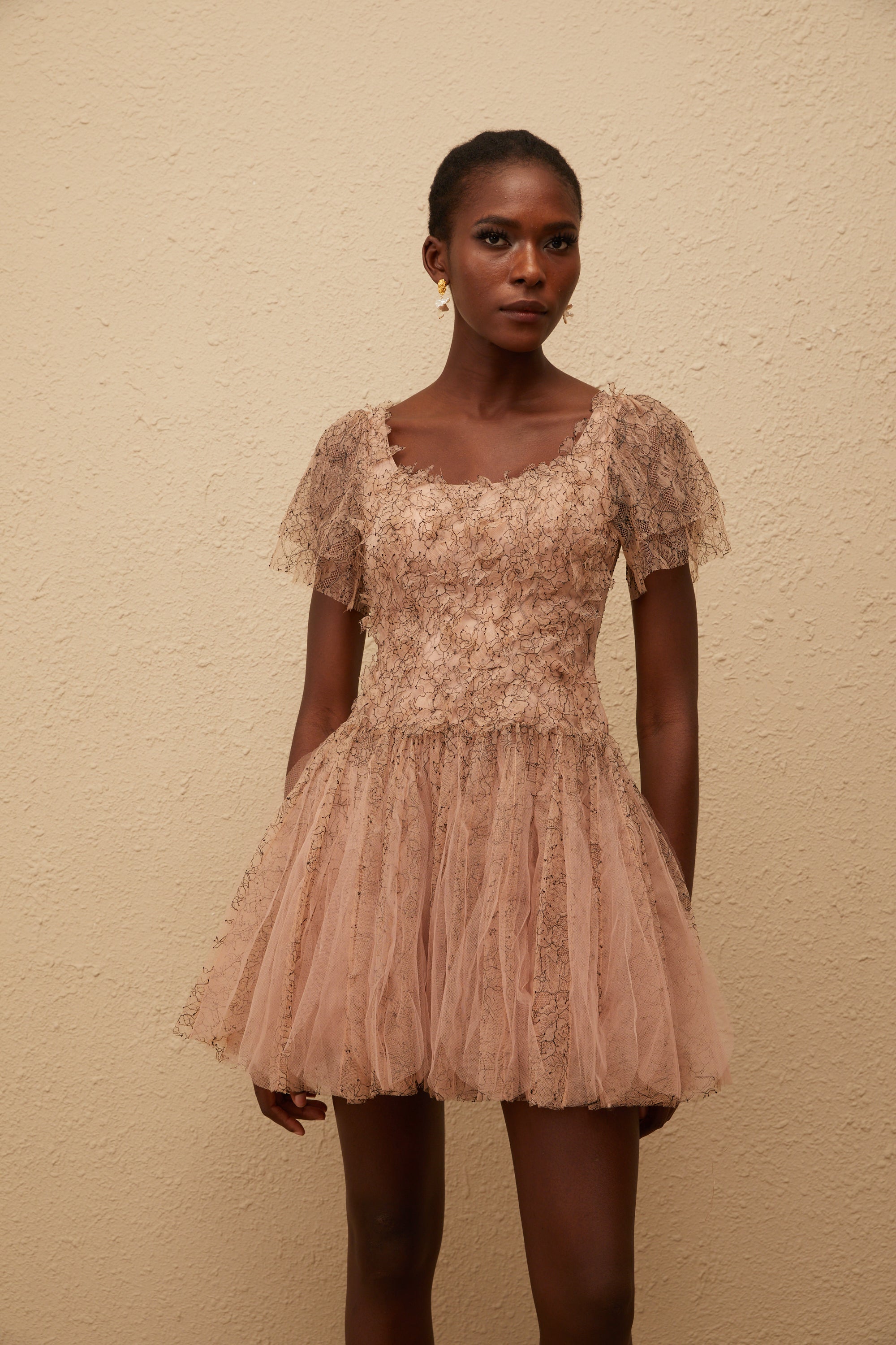 Gaëtane Brown Tulle Panel Lace Mini Dress (Final Sale)