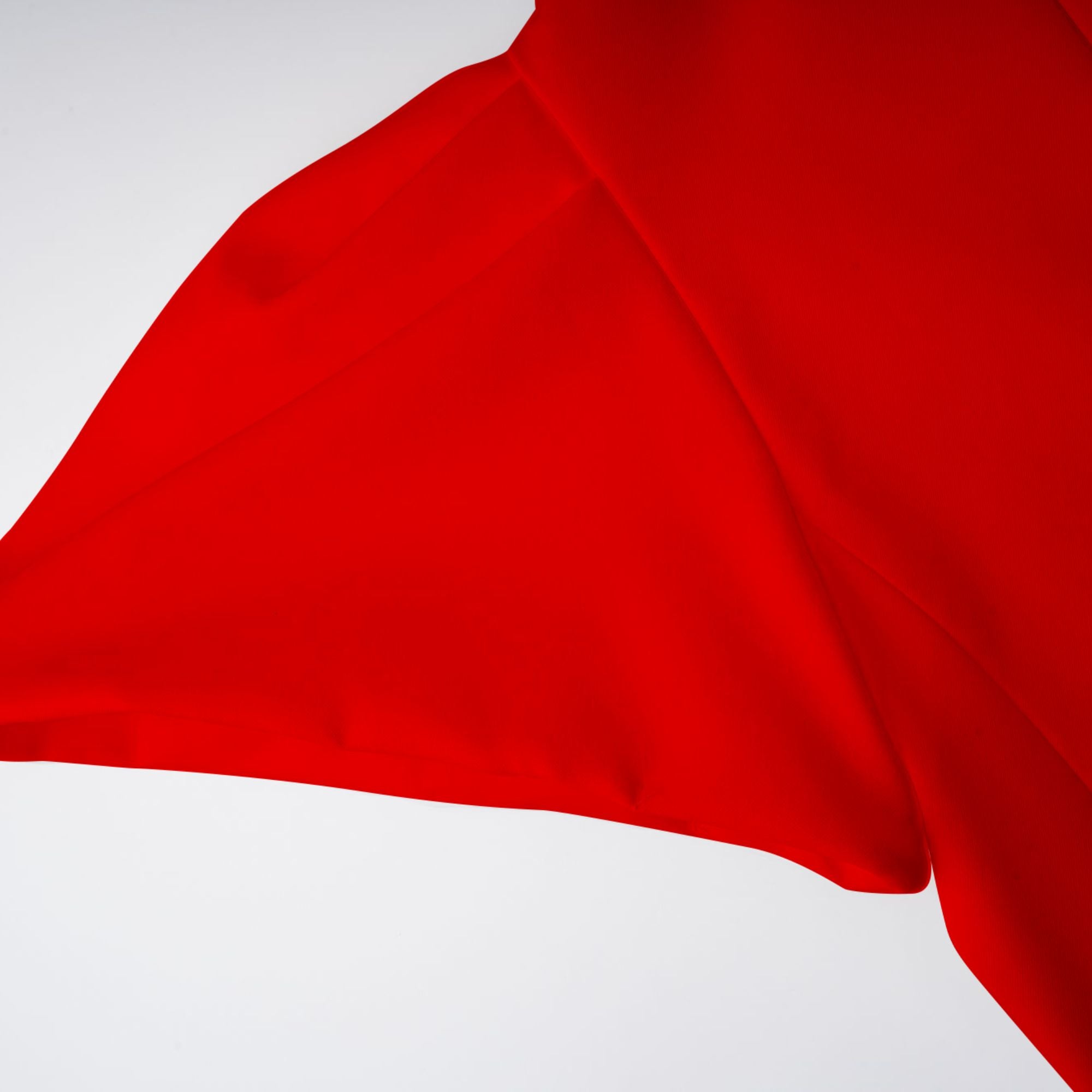 Irène Red Sequined Floral Embroidered Midi Dress