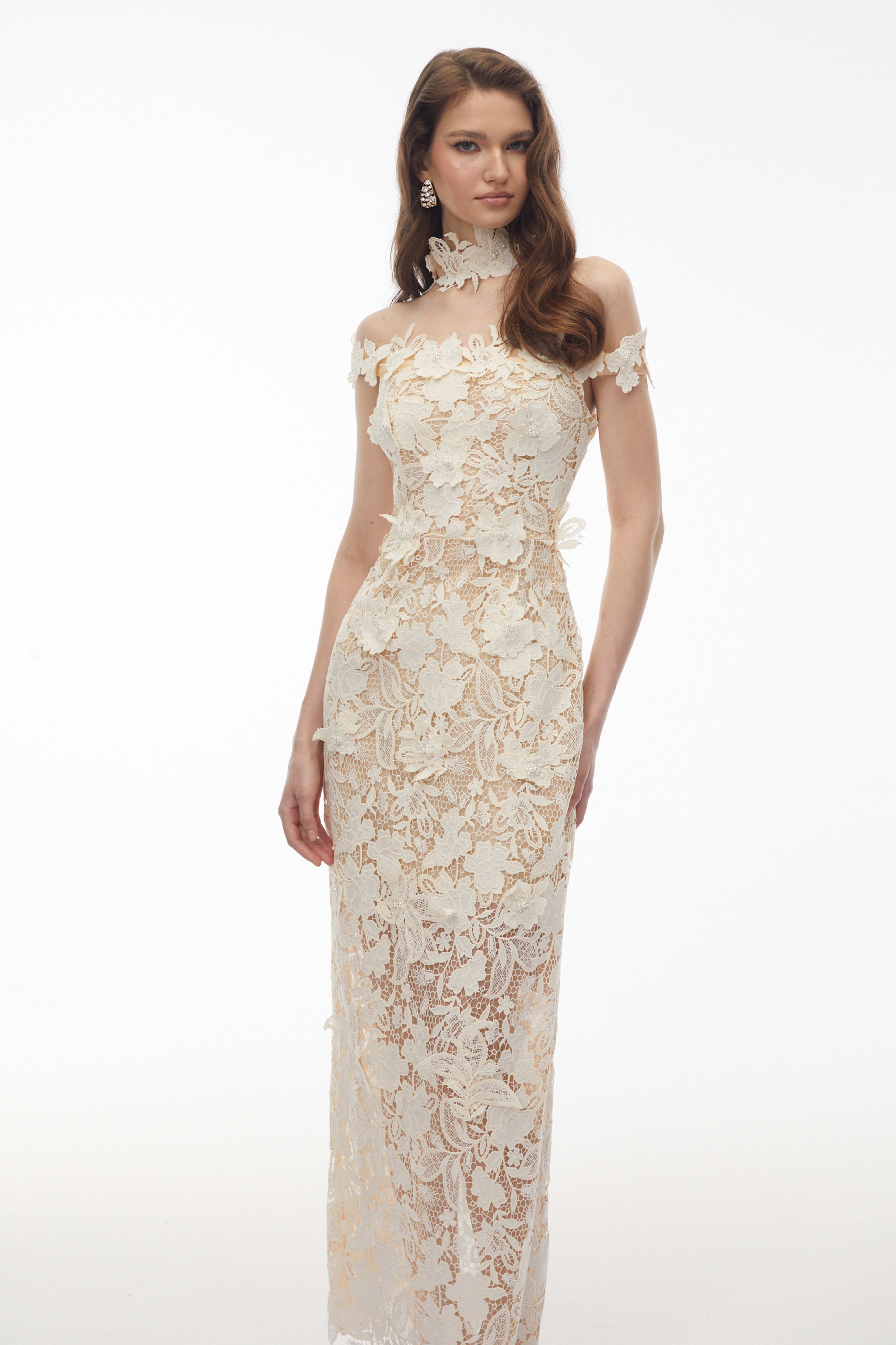 Off-Shoulder Floral Lace Appliqués Dress