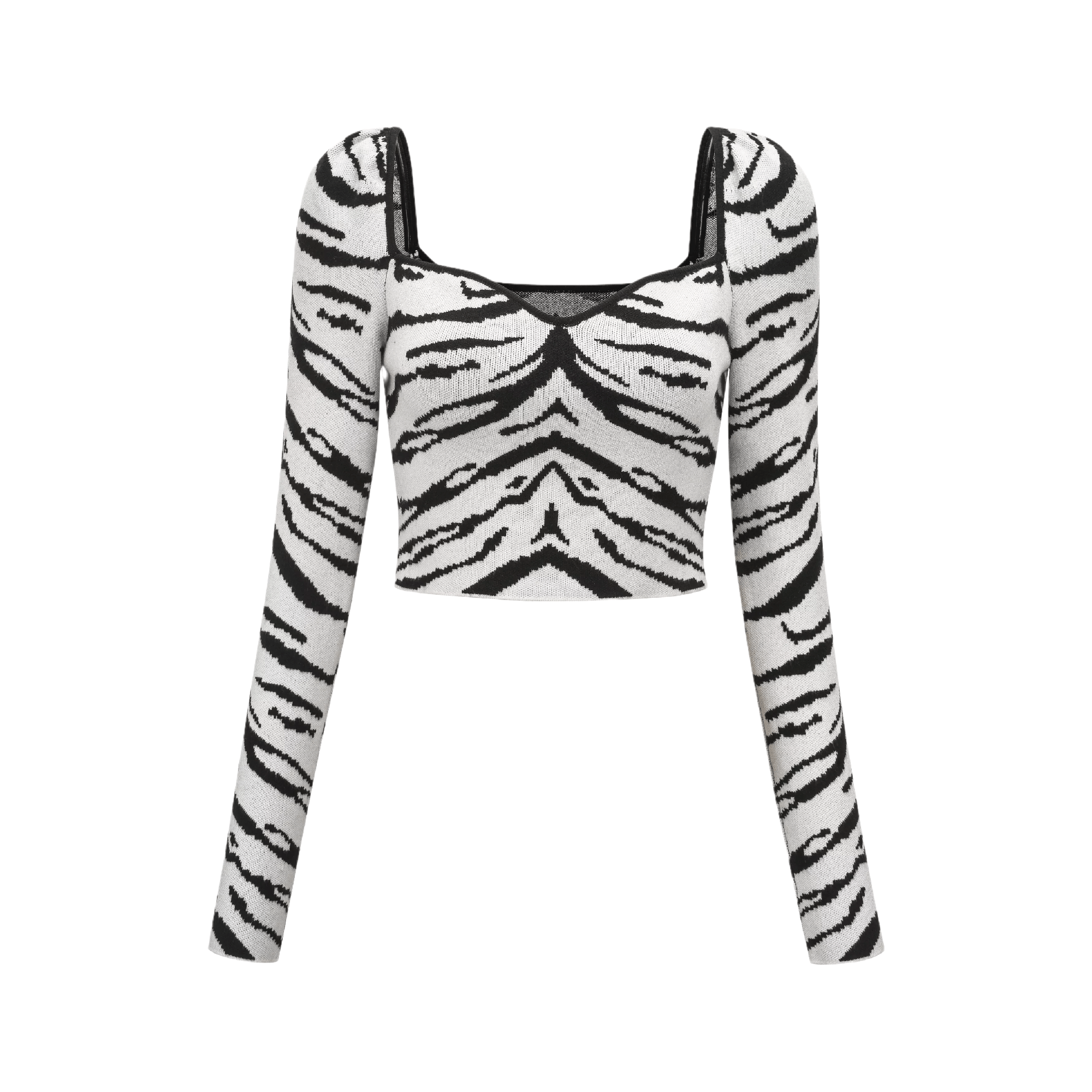 What You Waiting For-Zebra striped crop top - itsy, it‘z different